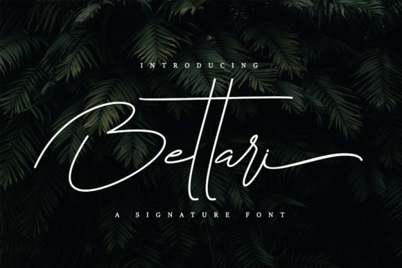 Bettari Font: A Signature Script for Creative Expression