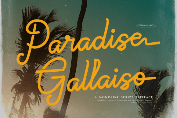 Paradise Gallaiso: A Strategic Tool for Creative and Branding Success