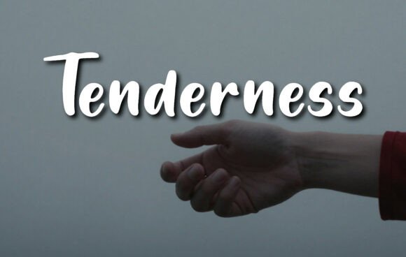 Tenderness Font: A Guide to Its Beauty and Versatility